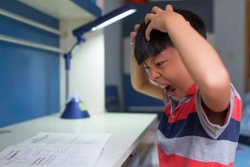 教育部规定取消幼儿园超前教育,增加小学课程,家长摸不着头脑